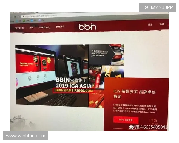 bbin直营网被审核的原因分析及应对策略全面解析